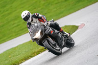 Middle 2 Group Black Bikes